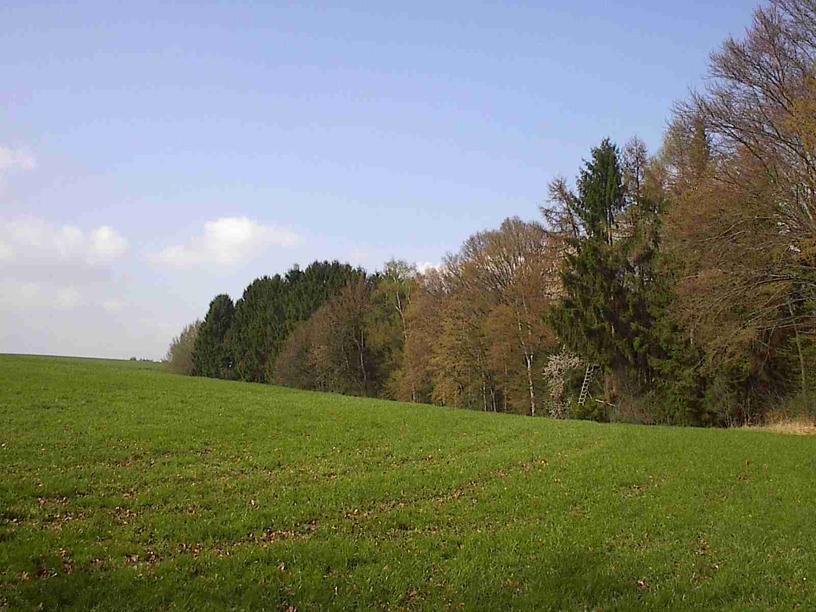 Wiesen2_Wahnbachtal.jpg